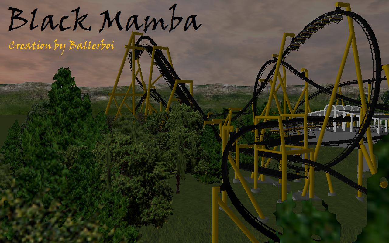 CoasterCrazy Black Mamba B M Flyer Track Advertising