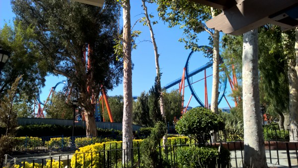 WP_20160623_16_14_02_Raw.jpg (2.62 MiB) Viewed 3122 times WP_20160623_16_14_02_Raw.jpg