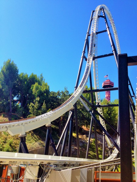 IMG_1320.JPG (2.33 MiB) Viewed 3819 times IMG_1320.JPG