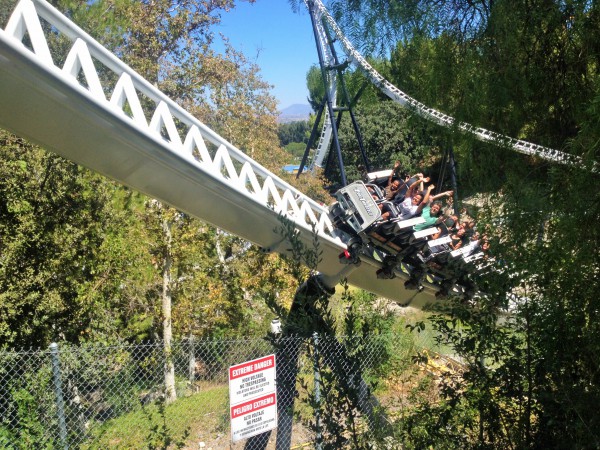 IMG_1396.JPG (2.95 MiB) Viewed 3819 times IMG_1396.JPG