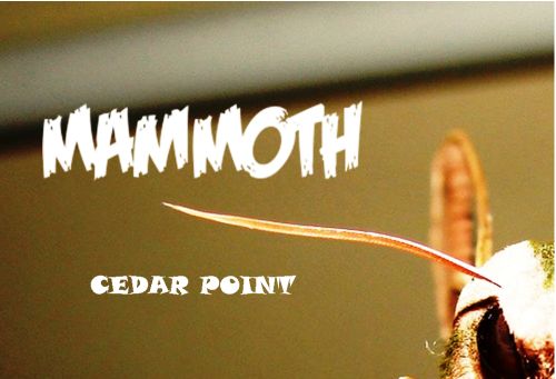 MamMoth.jpg MamMoth.jpg